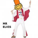 MR ELVIS.jpg