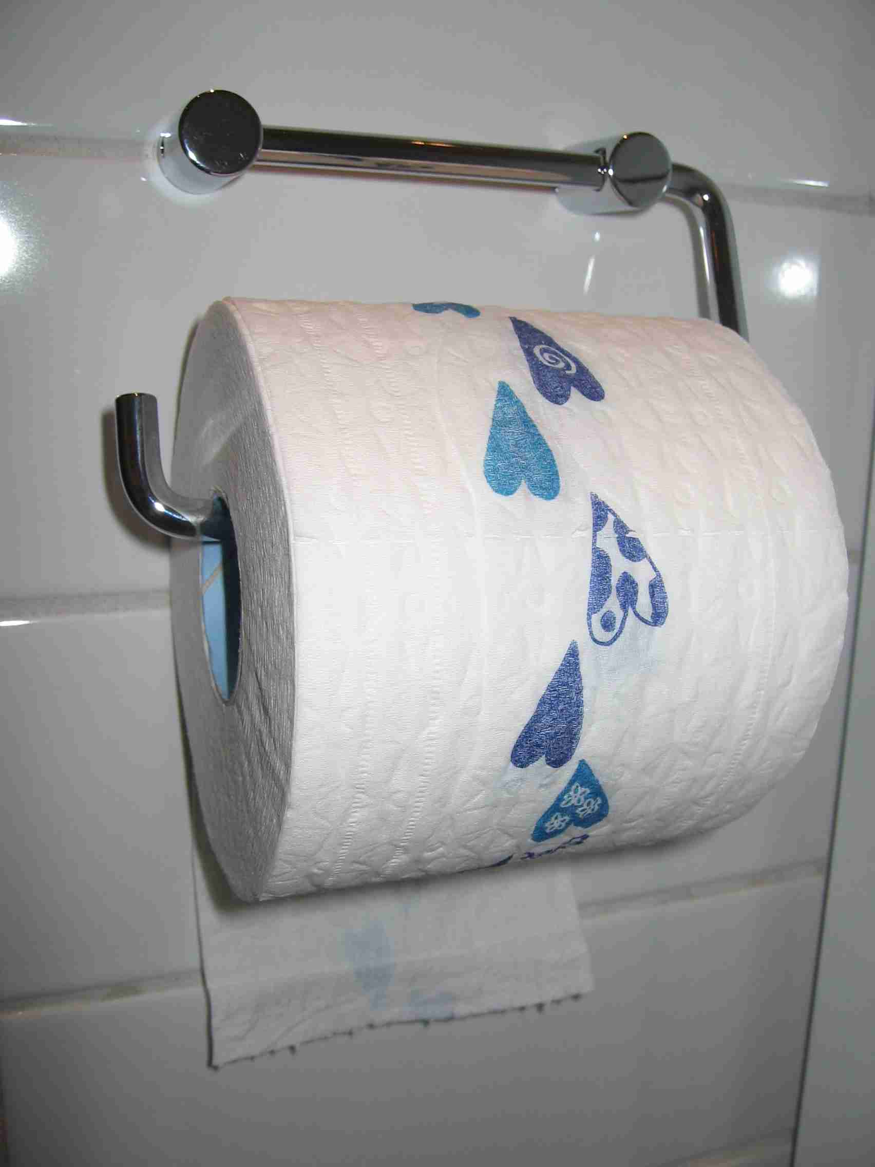 Toilet_roll_Edgeofrollfacingwall.jpg