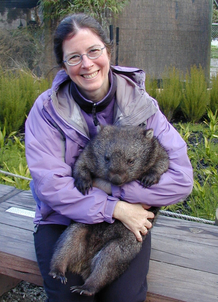 wombat.jpg