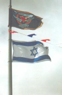 israeli_UFF_flags.jpg